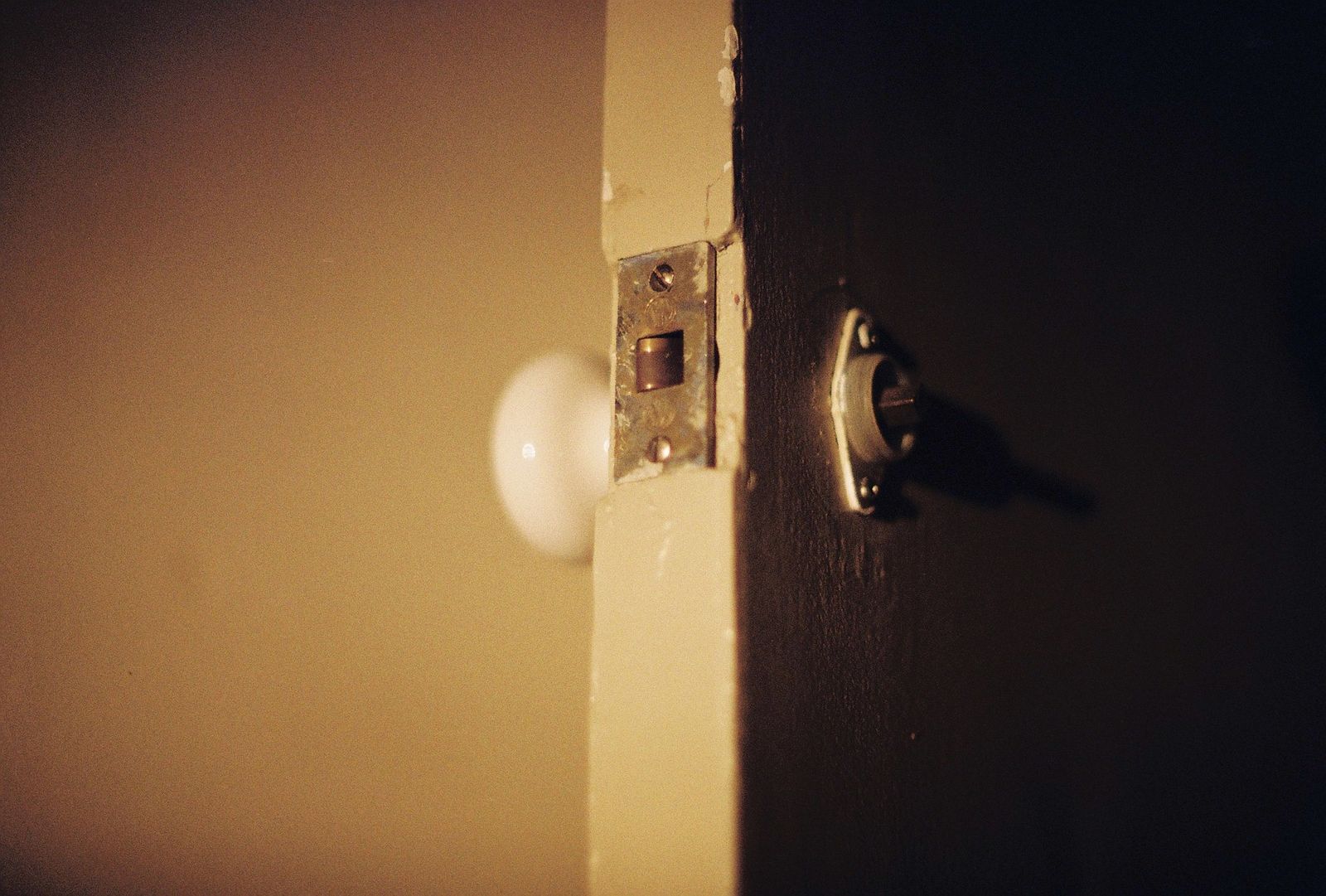 a door and its handle